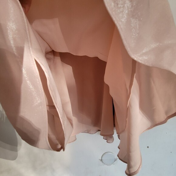 NEW Ted Baker London Pink Shimmery A-Line Gold Zipper Back Midi Modest Skirt 2 - Picture 6 of 12